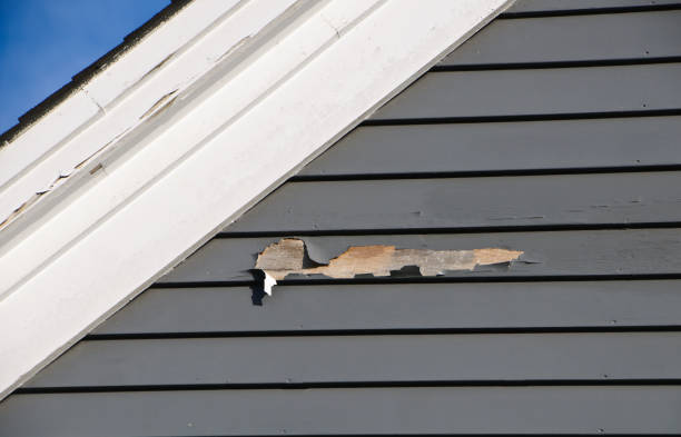 Affordable Siding Repair and Maintenance Services in King Arthur Park, MT